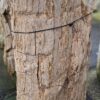 Grafsteen versteend hout 58233