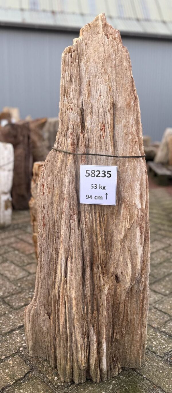 Grafsteen versteend hout 58235