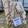 Grafsteen versteend hout 58236