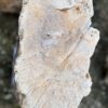 Grafsteen versteend hout 58237