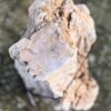 Grafsteen versteend hout 58238