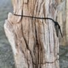 Grafsteen versteend hout 58238