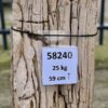 Grafsteen versteend hout 58240