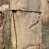 Grafsteen versteend hout 58240