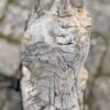 Grafsteen versteend hout 58241