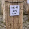 Grafsteen versteend hout 58242