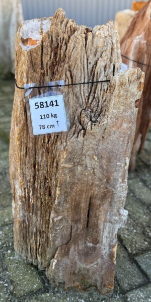 Lápida madera petrificada 58141