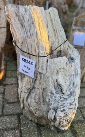 Lápida madera petrificada 58145