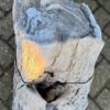 Lápida madera petrificada 58145