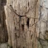 Lápida madera petrificada 58146