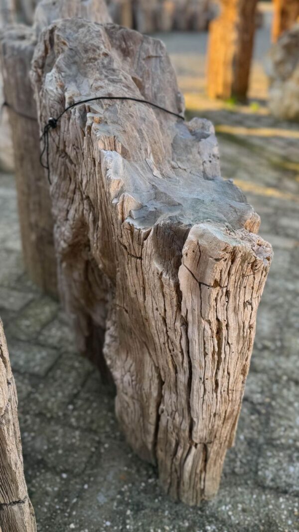 Lápida madera petrificada 58150