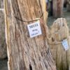 Lápida madera petrificada 58151