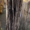 Lápida madera petrificada 58151