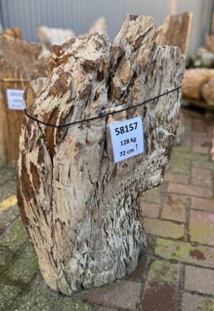 Lápida madera petrificada 58157