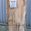 Lápida madera petrificada 58159