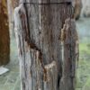 Lápida madera petrificada 58159