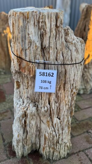 Lápida madera petrificada 58162