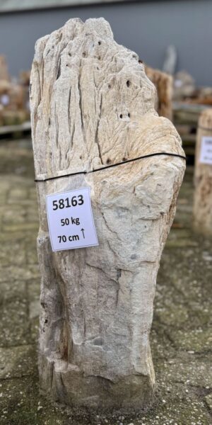 Lápida madera petrificada 58163