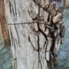 Lápida madera petrificada 58171