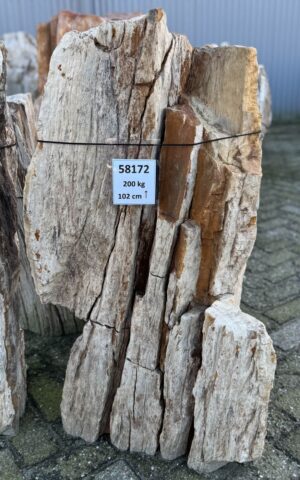 Lápida madera petrificada 58172