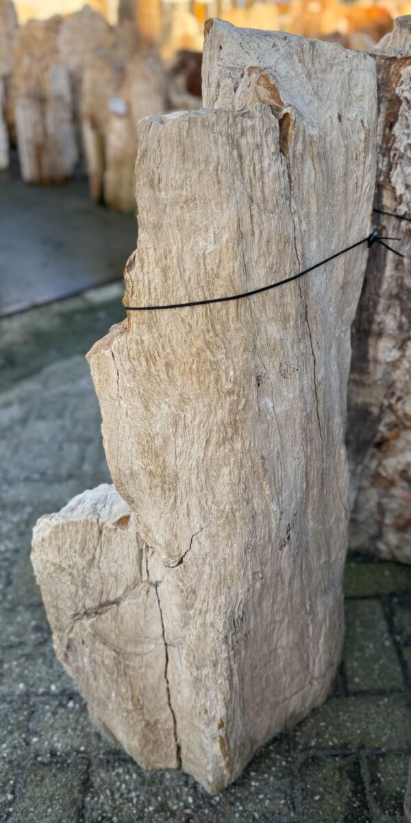 Lápida madera petrificada 58172