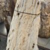 Lápida madera petrificada 58173
