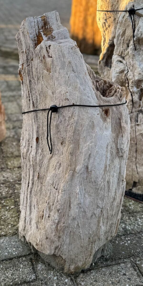 Lápida madera petrificada 58175