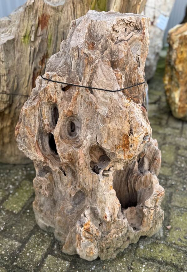 Lápida madera petrificada 58182