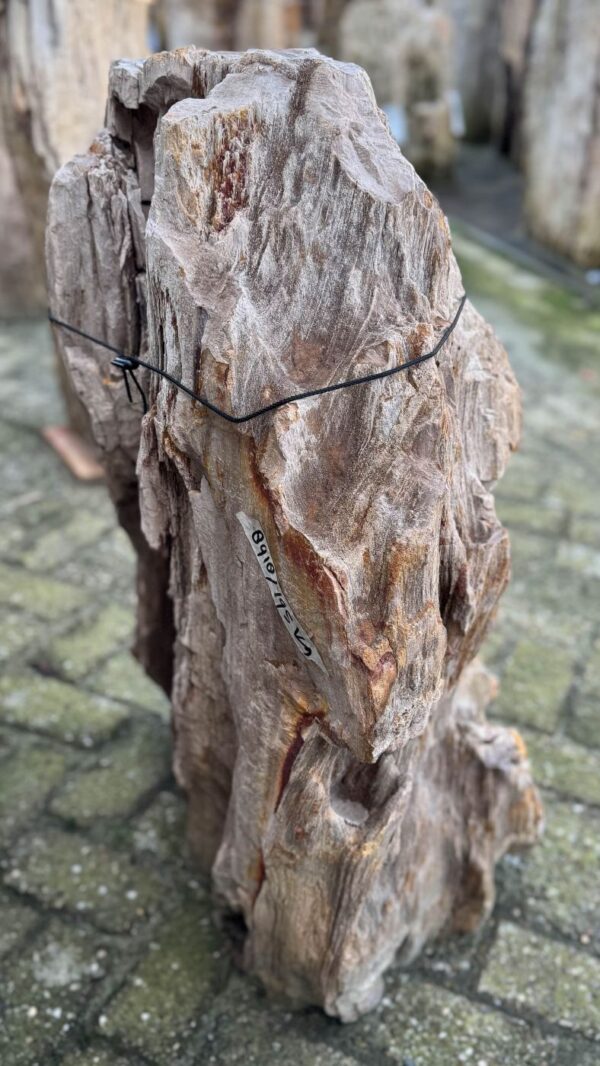 Lápida madera petrificada 58182