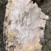 Lápida madera petrificada 58184