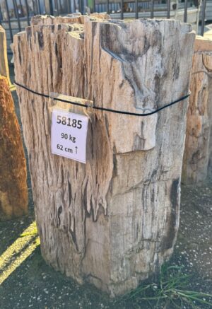 Lápida madera petrificada 58185