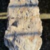 Lápida madera petrificada 58185