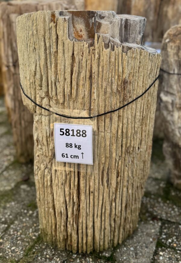 Lápida madera petrificada 58188