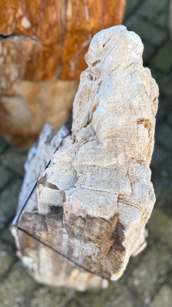 Lápida madera petrificada 58189