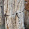 Lápida madera petrificada 58189