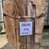 Lápida madera petrificada 58191