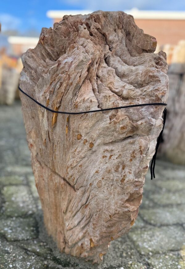 Lápida madera petrificada 58191