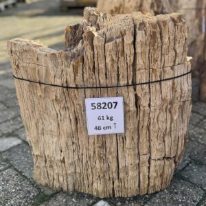 Lápida madera petrificada 58207