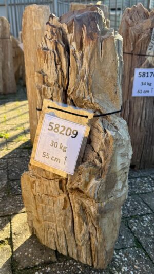Lápida madera petrificada 58209