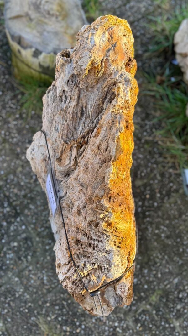 Lápida madera petrificada 58214