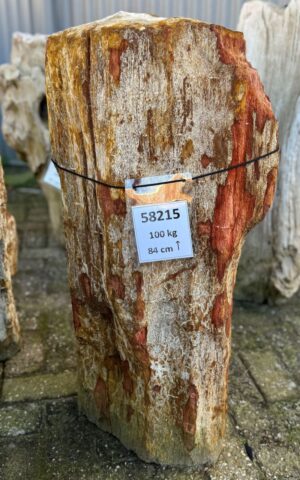 Lápida madera petrificada 58215