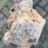 Lápida madera petrificada 58220