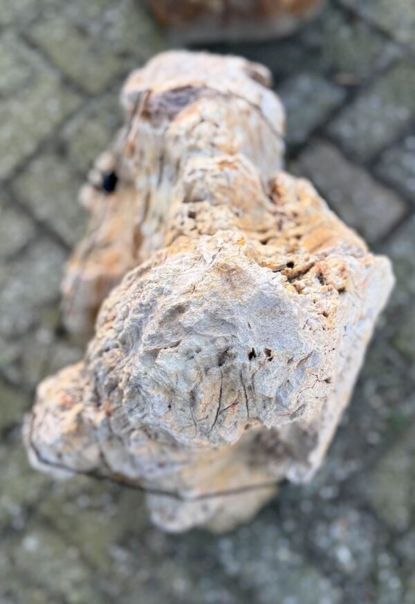 Lápida madera petrificada 58220