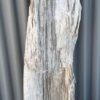 Lápida madera petrificada 58225