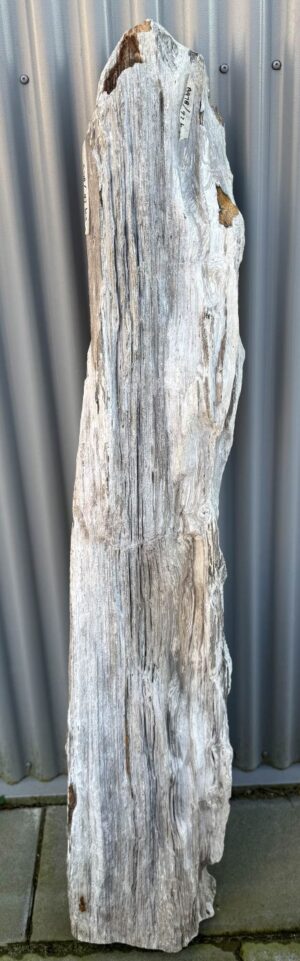 Lápida madera petrificada 58225