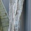 Lápida madera petrificada 58225