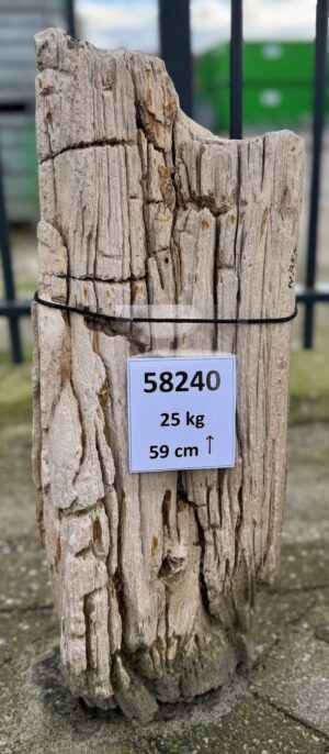 Lápida madera petrificada 58240
