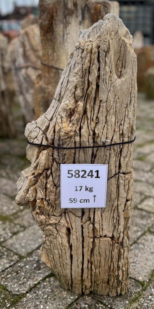 Lápida madera petrificada 58241