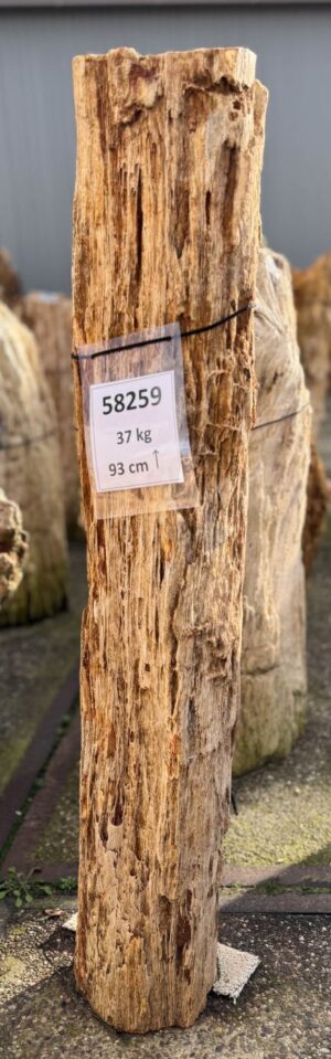 Lápida madera petrificada 58259