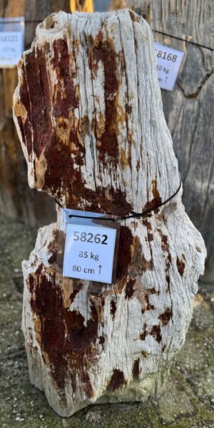Lápida madera petrificada 58262